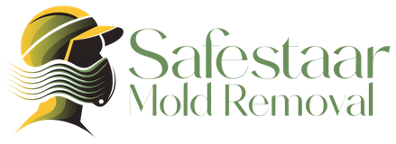 Safestar Mold Removal